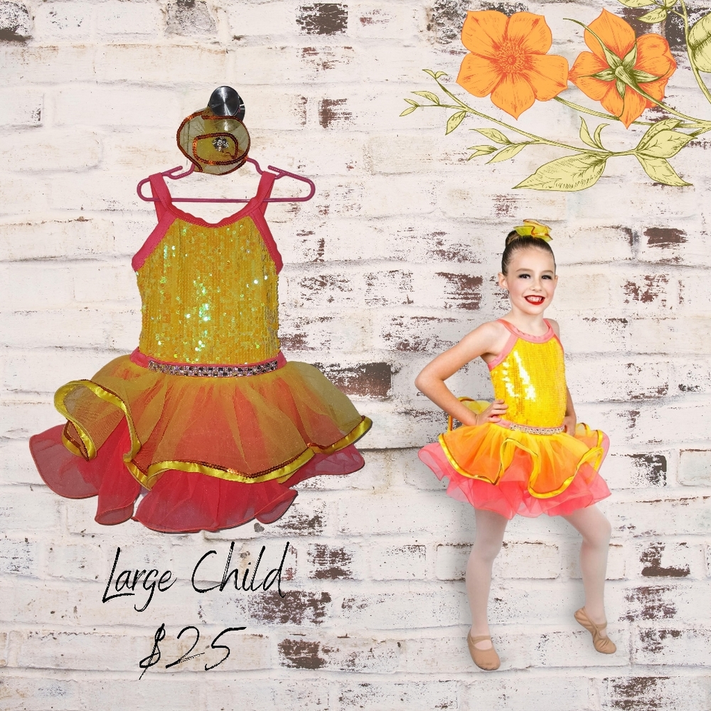 Dance Costume